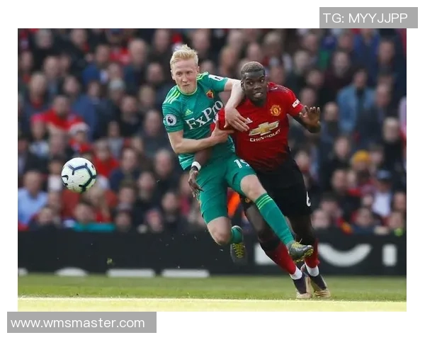 米堡主场迎战狼队争夺关键三分激战即将上演